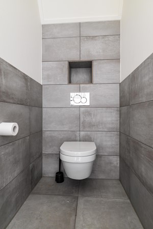 Dwarshaspel 5-46.jpg